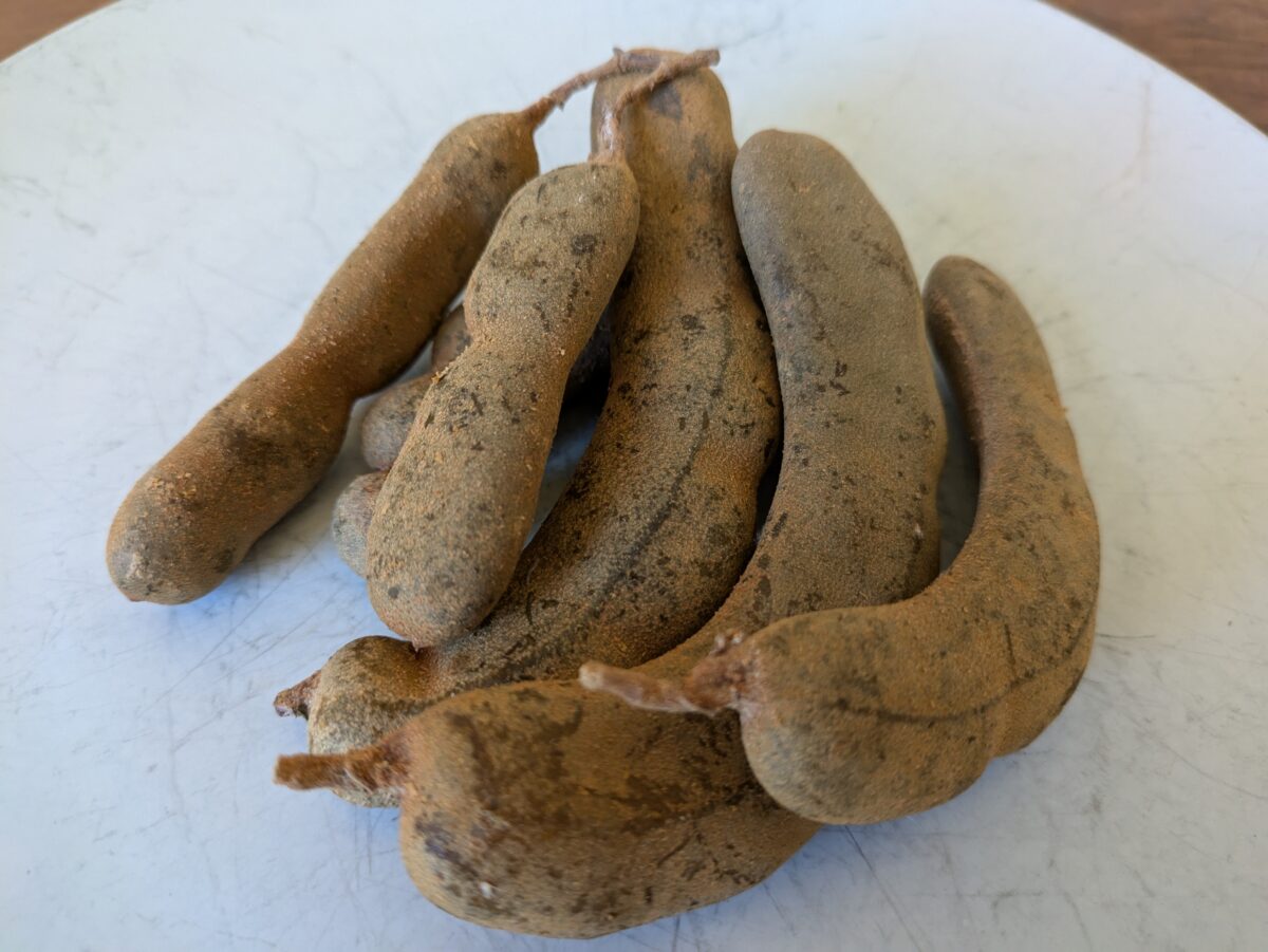 Raw tamarind pods, the key ingredient for Thai tamarind paste"
