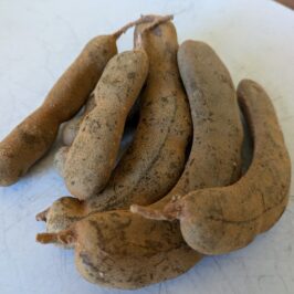 Raw tamarind pods, the key ingredient for Thai tamarind paste"