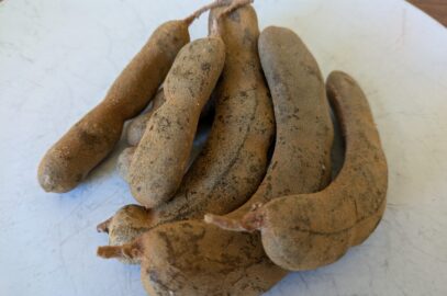 Raw tamarind pods, the key ingredient for Thai tamarind paste"
