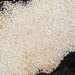 "Lightly toasted glutinous rice spread evenly on a tray, golden brown and ready to be ground into toasted rice powder."