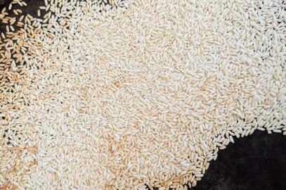 "Lightly toasted glutinous rice spread evenly on a tray, golden brown and ready to be ground into toasted rice powder."